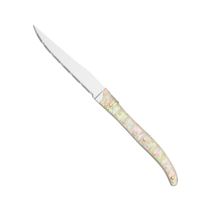 4 pcs cutlery set - SGT000-1