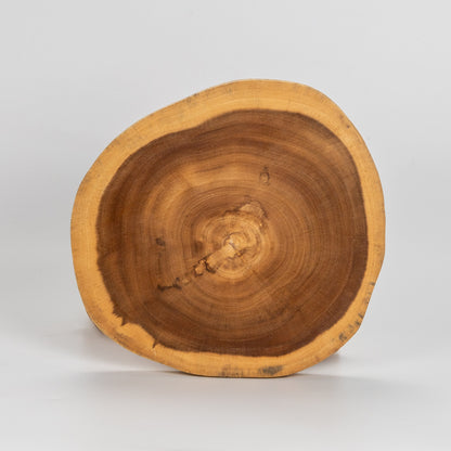 WSW-069